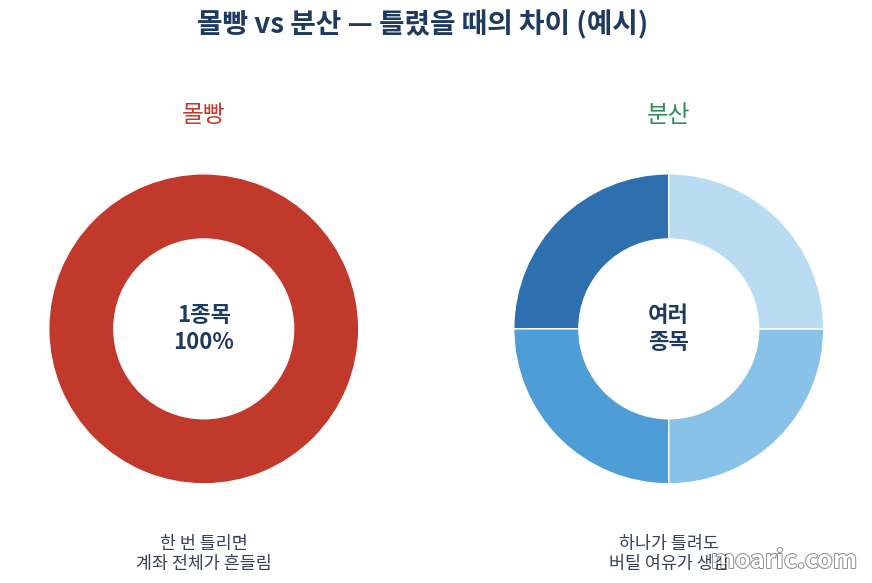 몰빵과 분산투자의 차이 비교 이미지