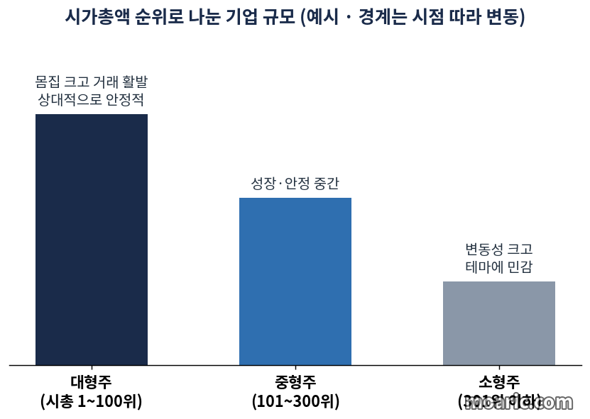 시가총액 순위로 대형주 중형주 소형주를 나눈 기업 규모 구분 예시 이미지
