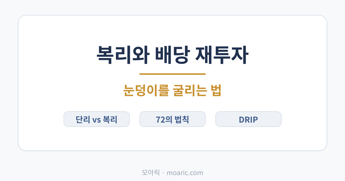 복리와 배당 재투자의 힘 눈덩이를 굴리는 법 초보 완전정리