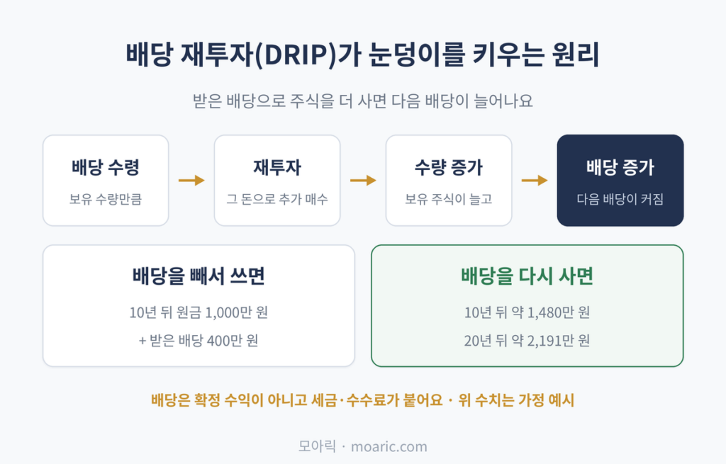 배당 재투자(DRIP)가 눈덩이를 키우는 원리 받은 배당으로 주식을 더 사면 다음 배당이 늘어나요